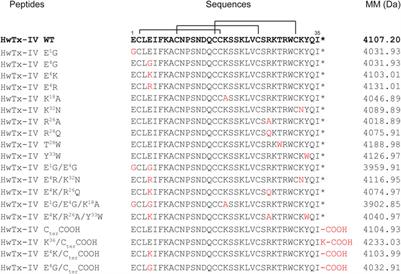 Synthetic Analogues of Huwentoxin-IV Spider Peptide With Altered Human NaV1.7/NaV1.6 Selectivity Ratios